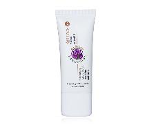 پرایمر اشتون
Ashton Primer