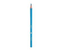 مداد رنگی بیک ایولوشن اکو 12 رنگ
Bic color pencil evaluation eco